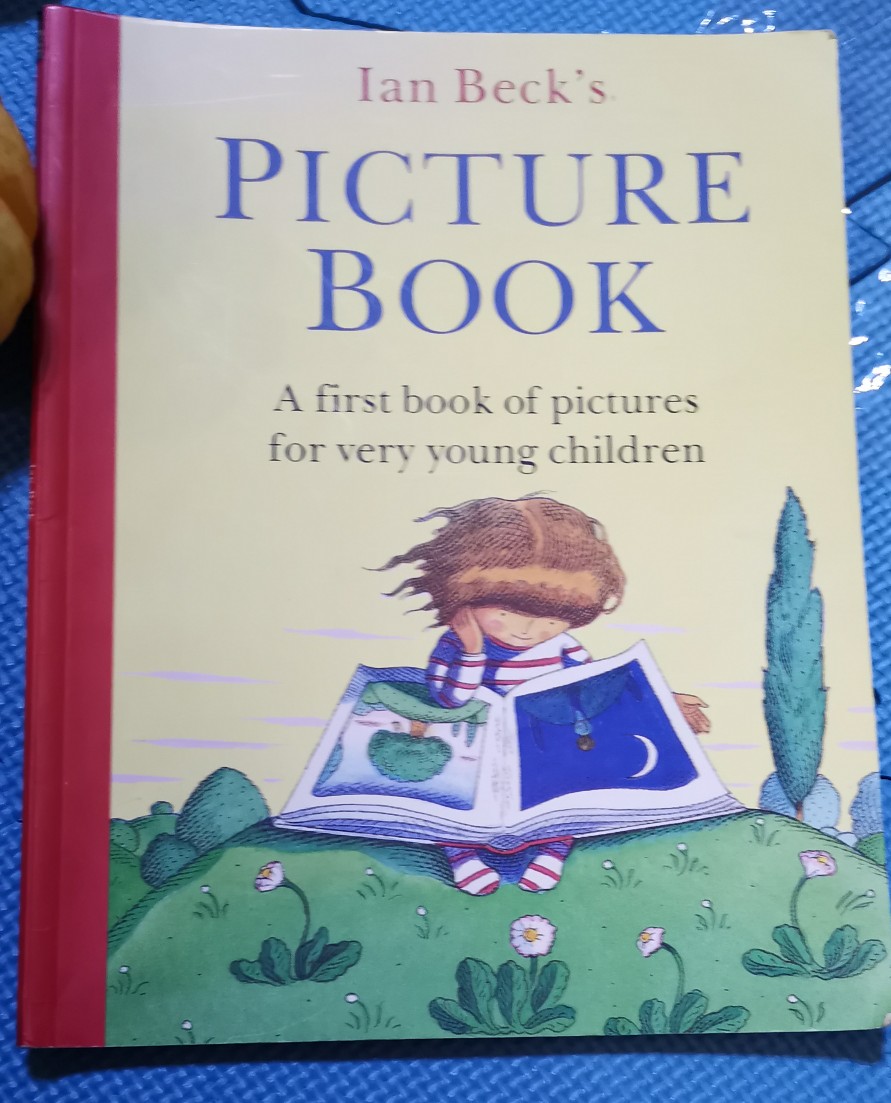 PICTURE BOOK