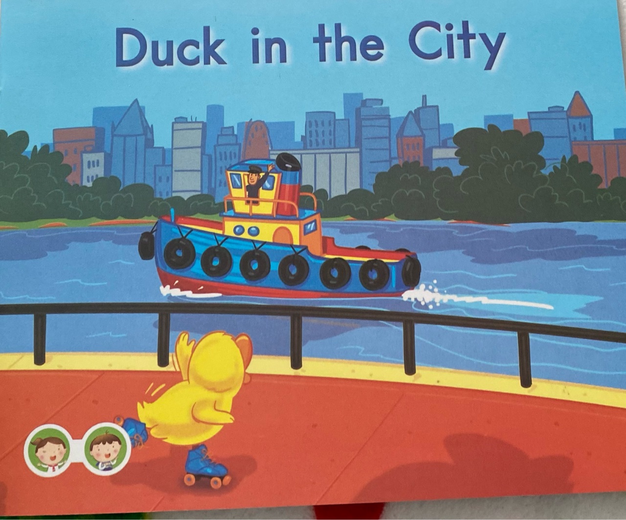 Duck in the city