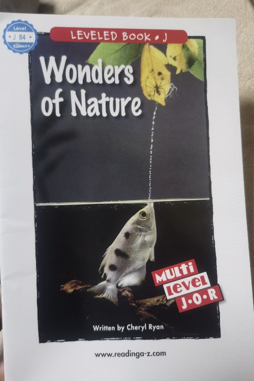 wonder of nature