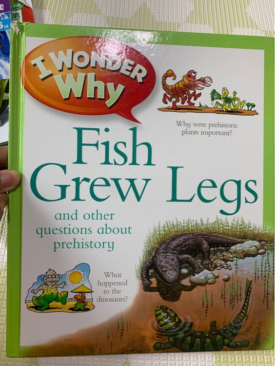 I Wonder Why Fish Grew Legs and