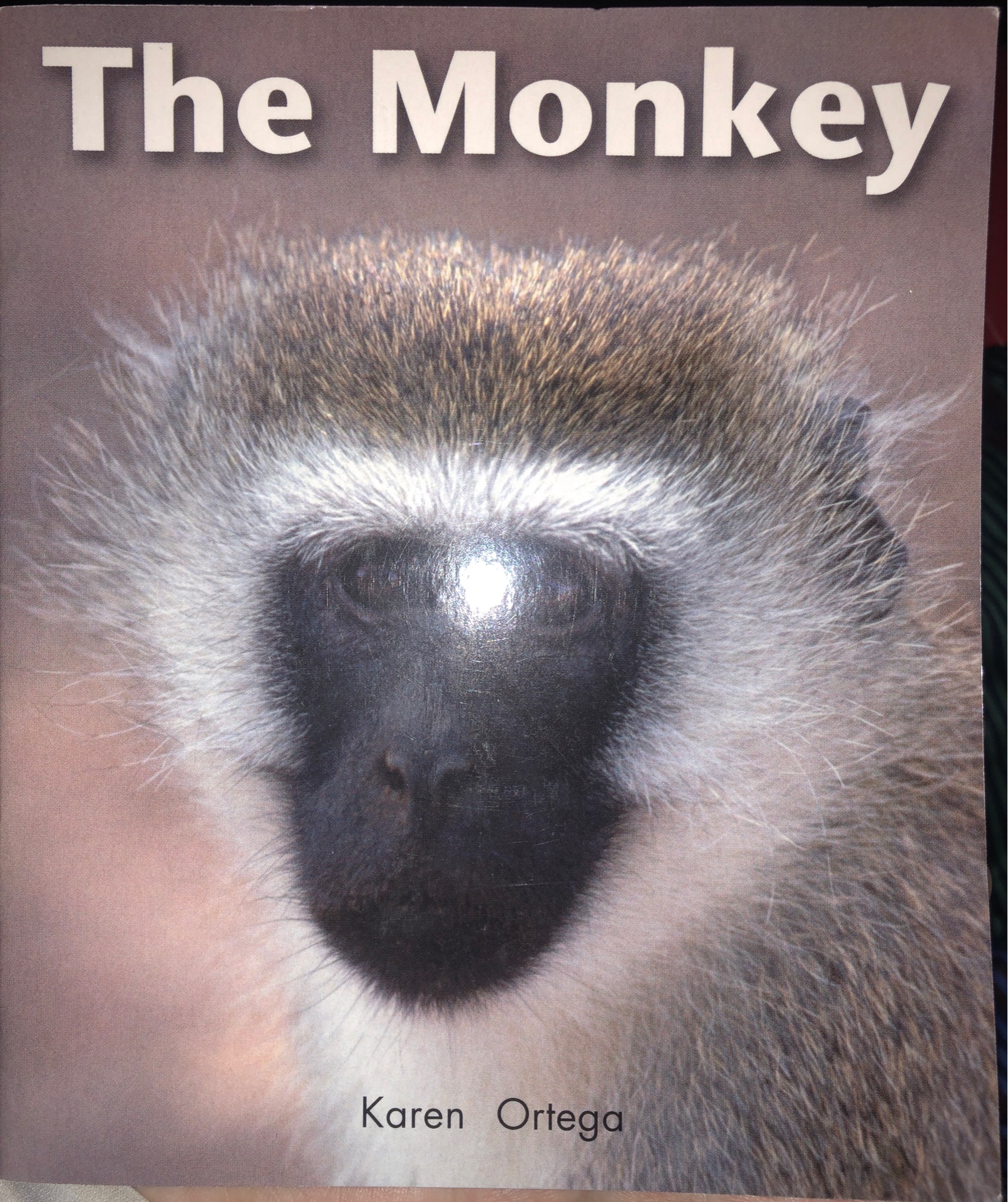 The Monkey