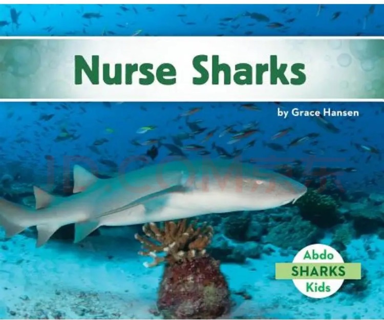 Nurse Sharks