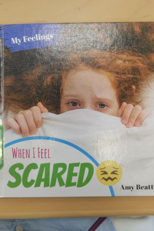 my feelings when i feel scared