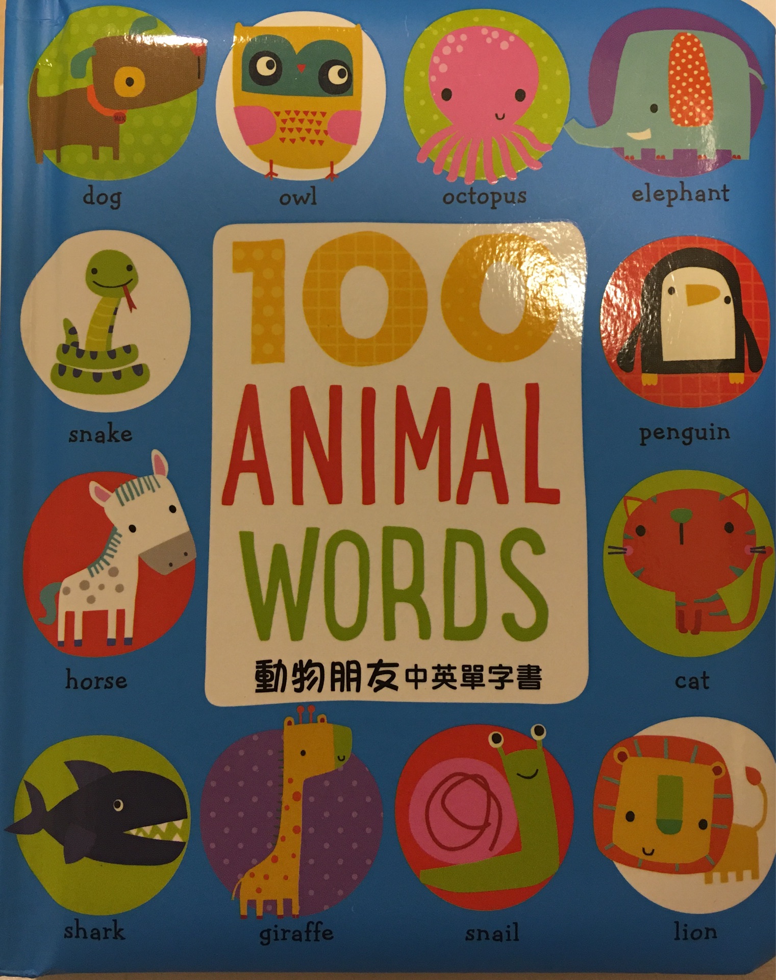 100 Animal words