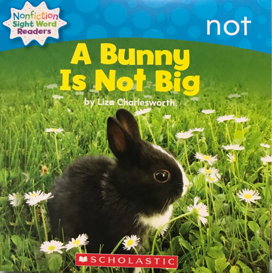 A Bunny Is Not Big