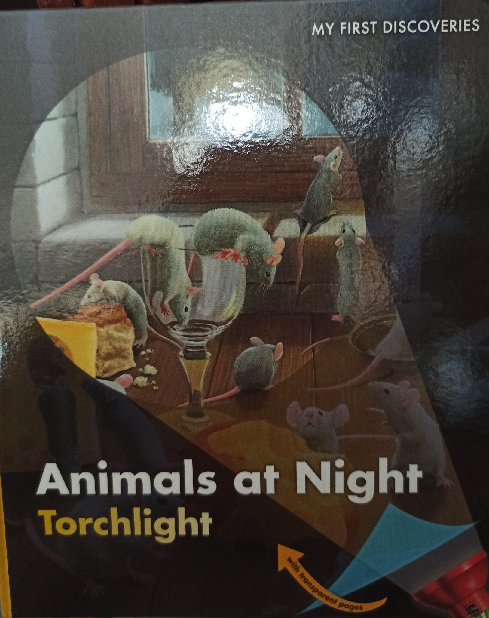 animals at night