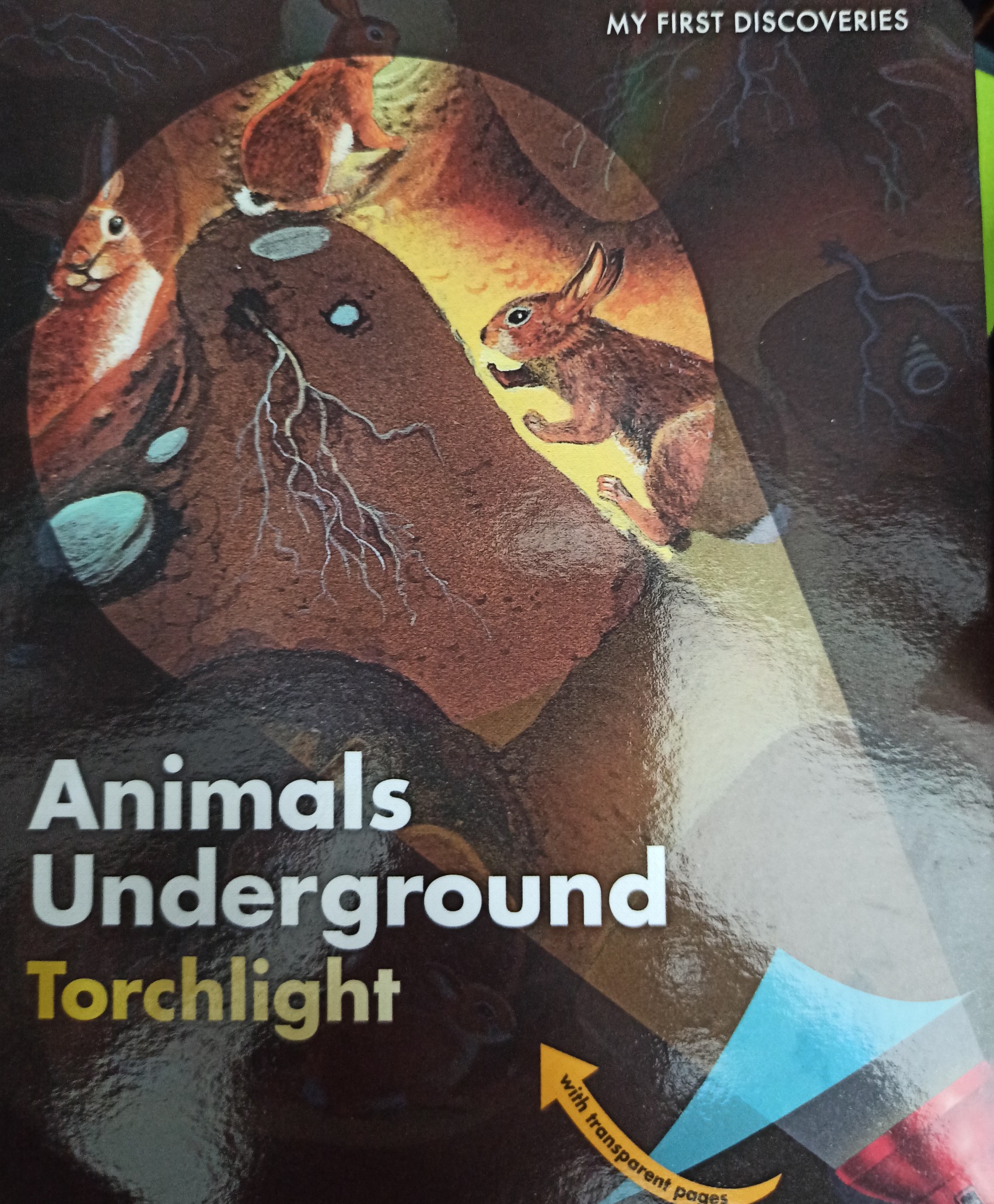 Animals Underground Torchlight