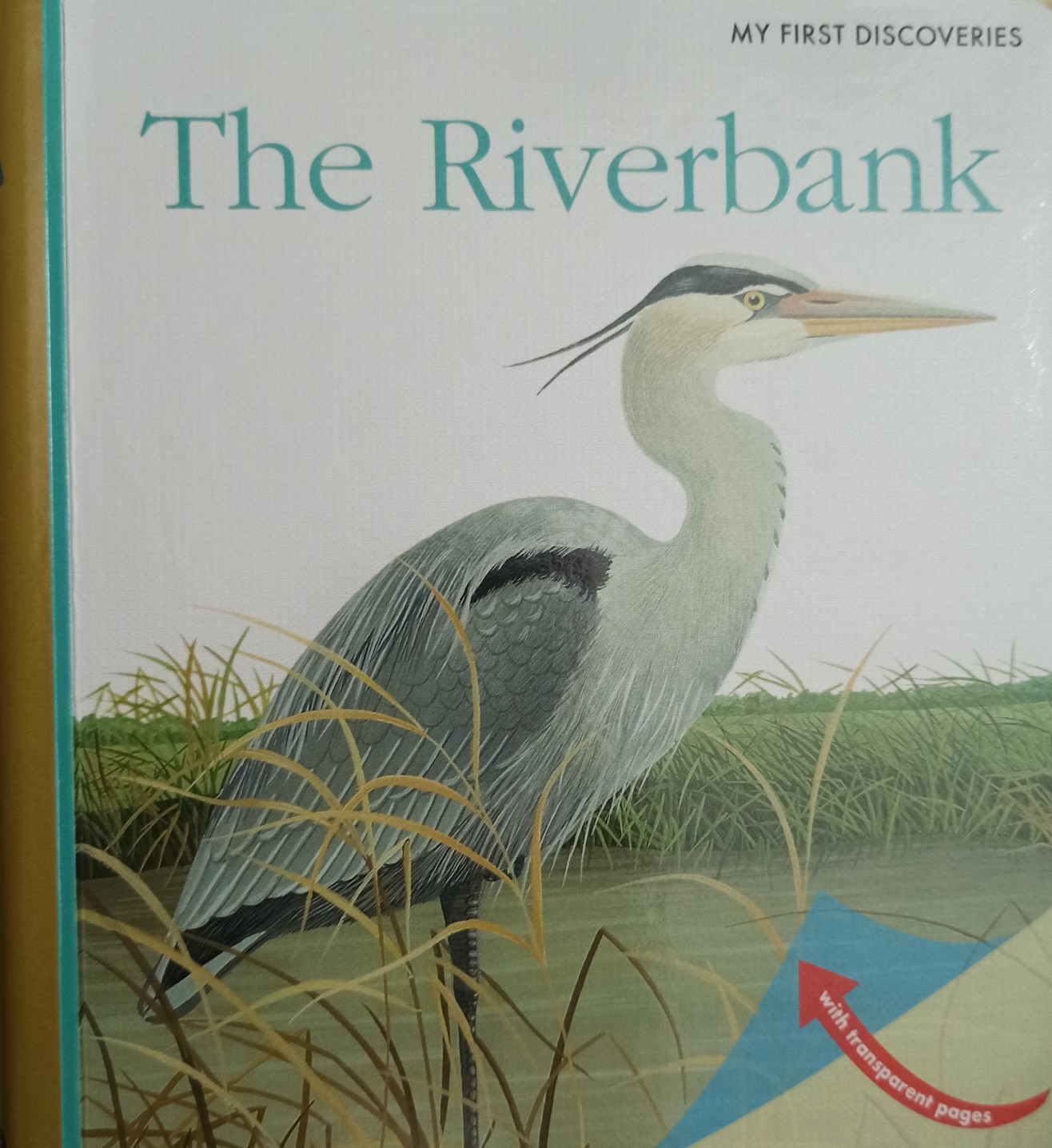 The Riverbank