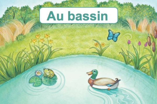 Au bassin