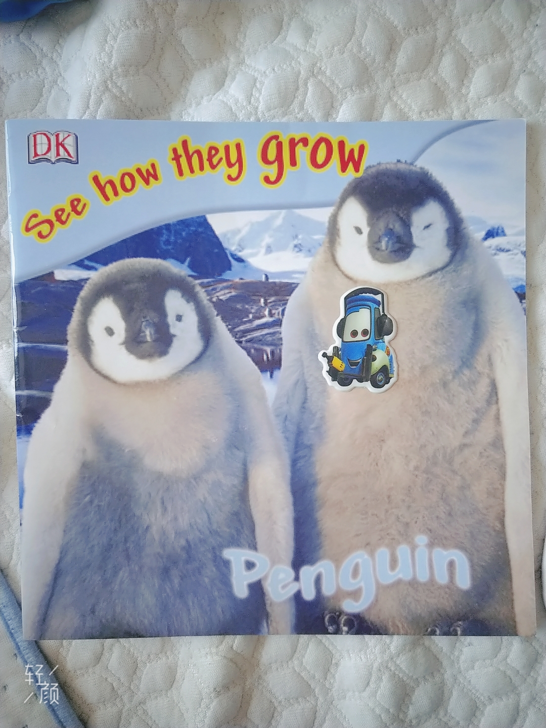 see how they grow penguin