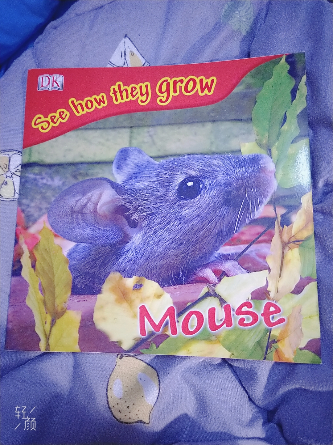 see how they grow mouse