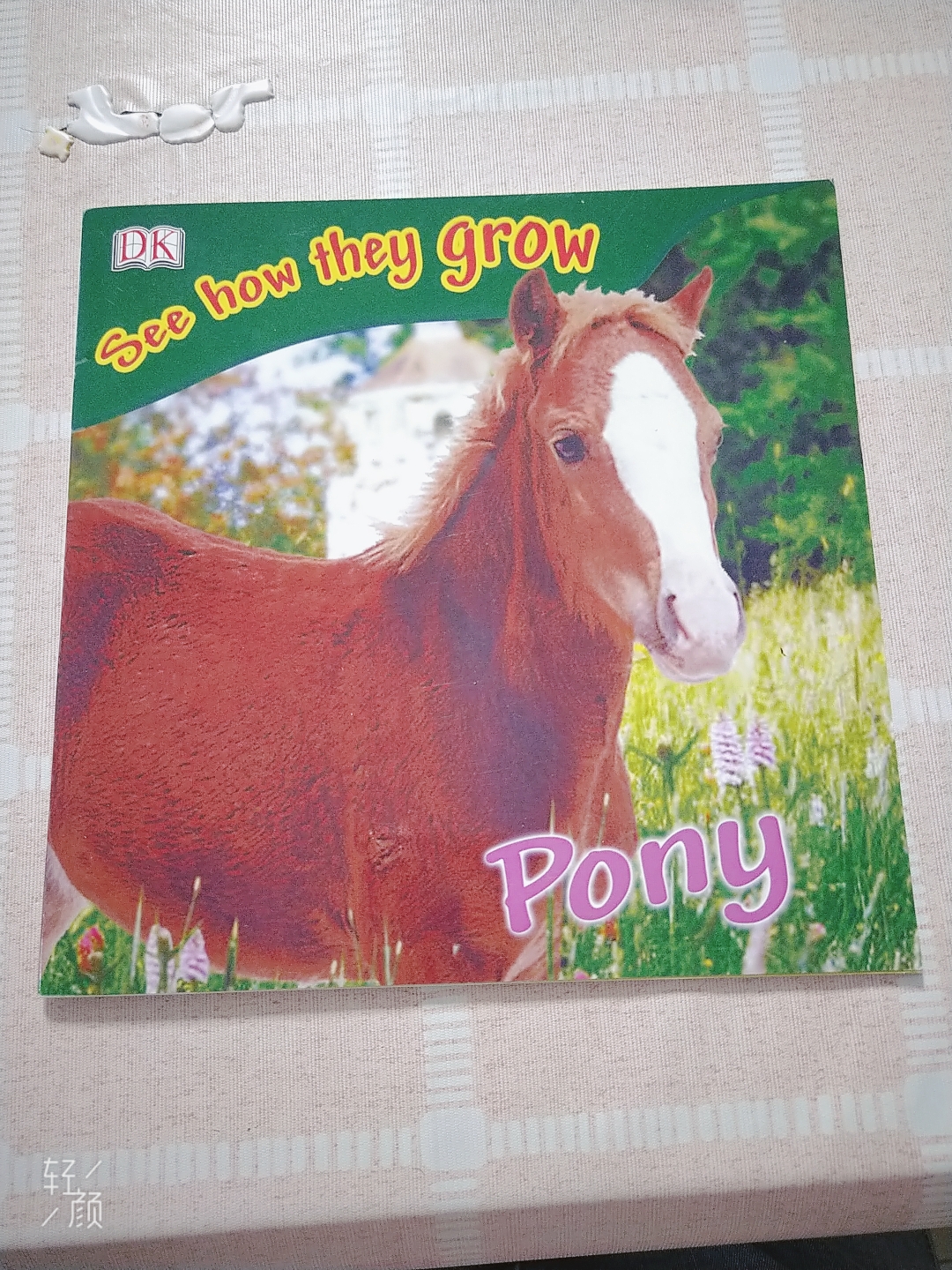 see how they grow Pony