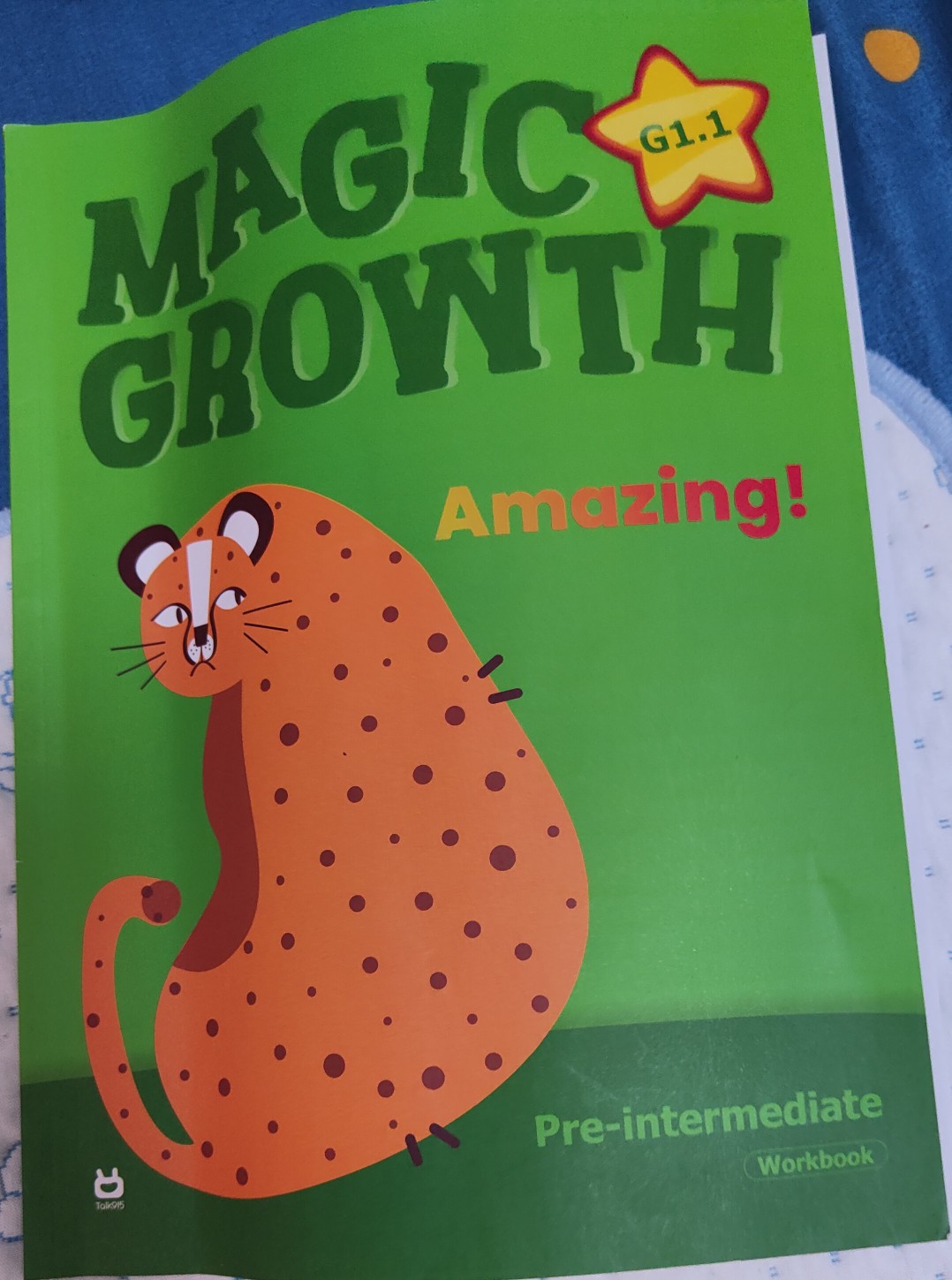 magic growth g1.1 workbook