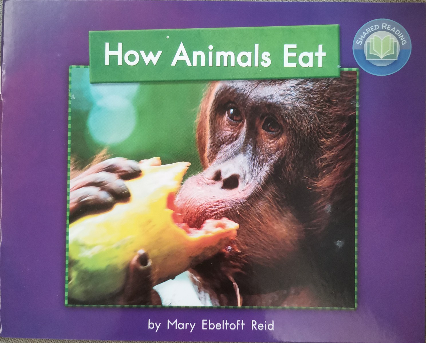 How animals eat