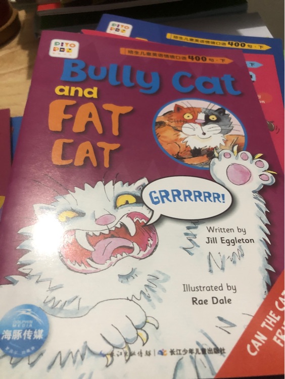 bully cat and fat cat