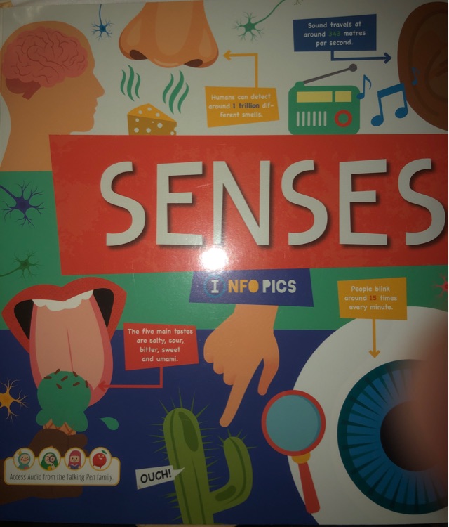 senses