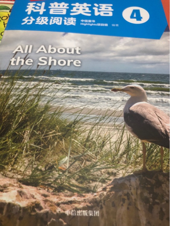 all about  the shore