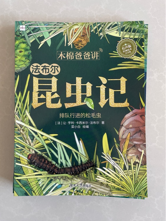 昆蟲記—排隊進行的松毛蟲