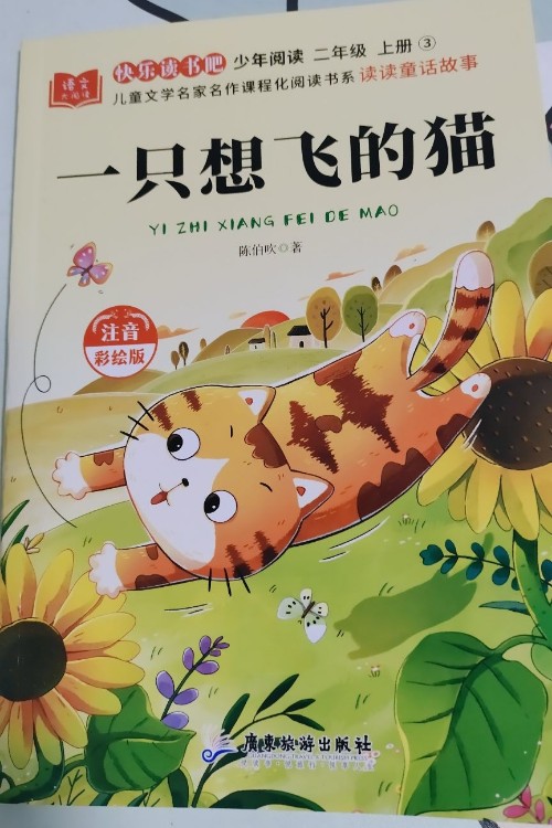 一只想飛的貓