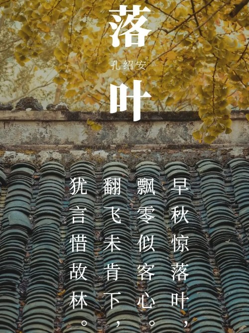 (古詩)《落葉》[唐]孔紹安