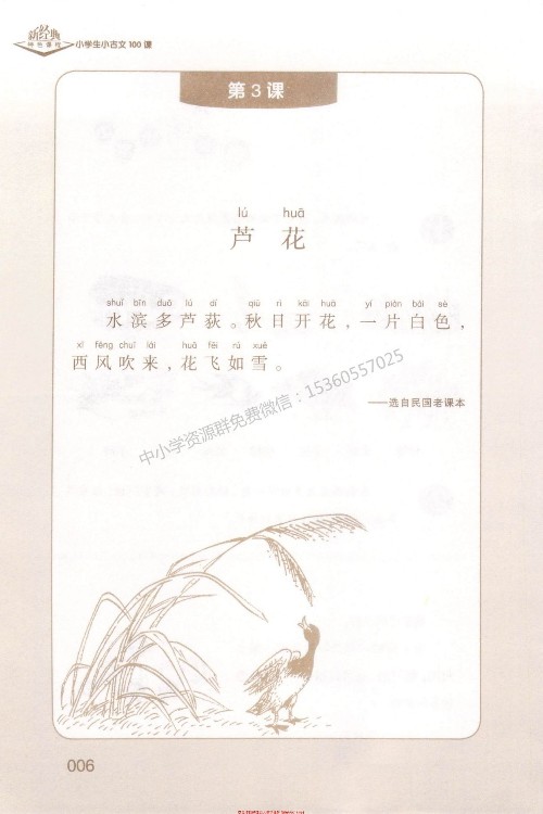 查看系列
