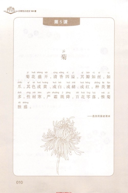 查看系列