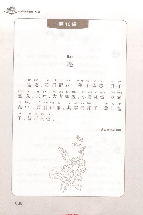 (古文)《蓮》選自《民國老課本》