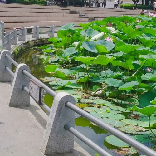 DL.勞動(dòng)公園????