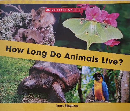 How Long Do Animals Live?
(Scholastic Everyday Book box 3)(Grl G)