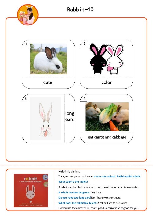 susan名詞卡10【rabbit】