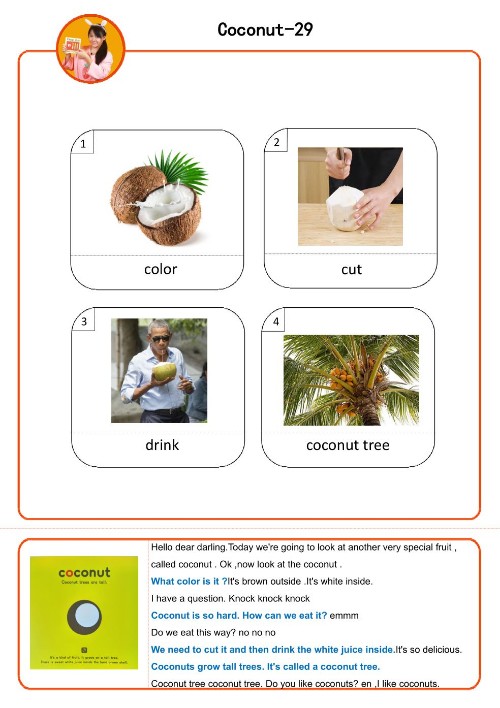 susan名詞卡29【coconut】