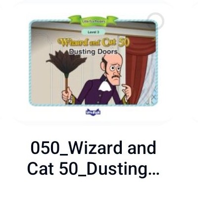 Wizard and Cat 50 Dusting Doors