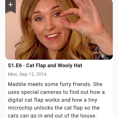 Do You Know S1-06a Cat Flap