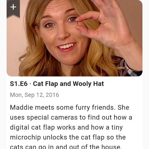 Do You Know S1-06b Wooly Hat