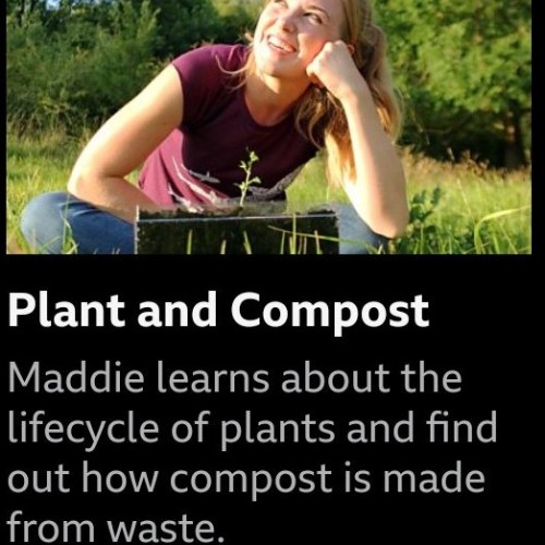 Do You Know S3-02b Compost 堆肥