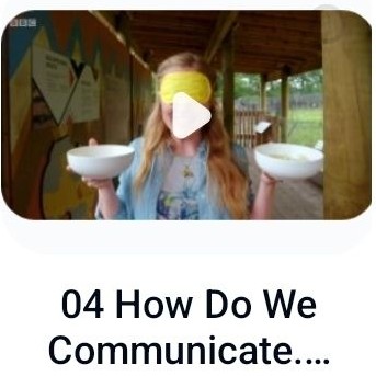 Maddie, the Zoo and You 04 How Do We Communicate