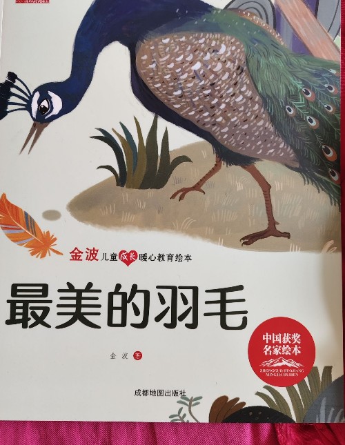 《最美的羽毛??》