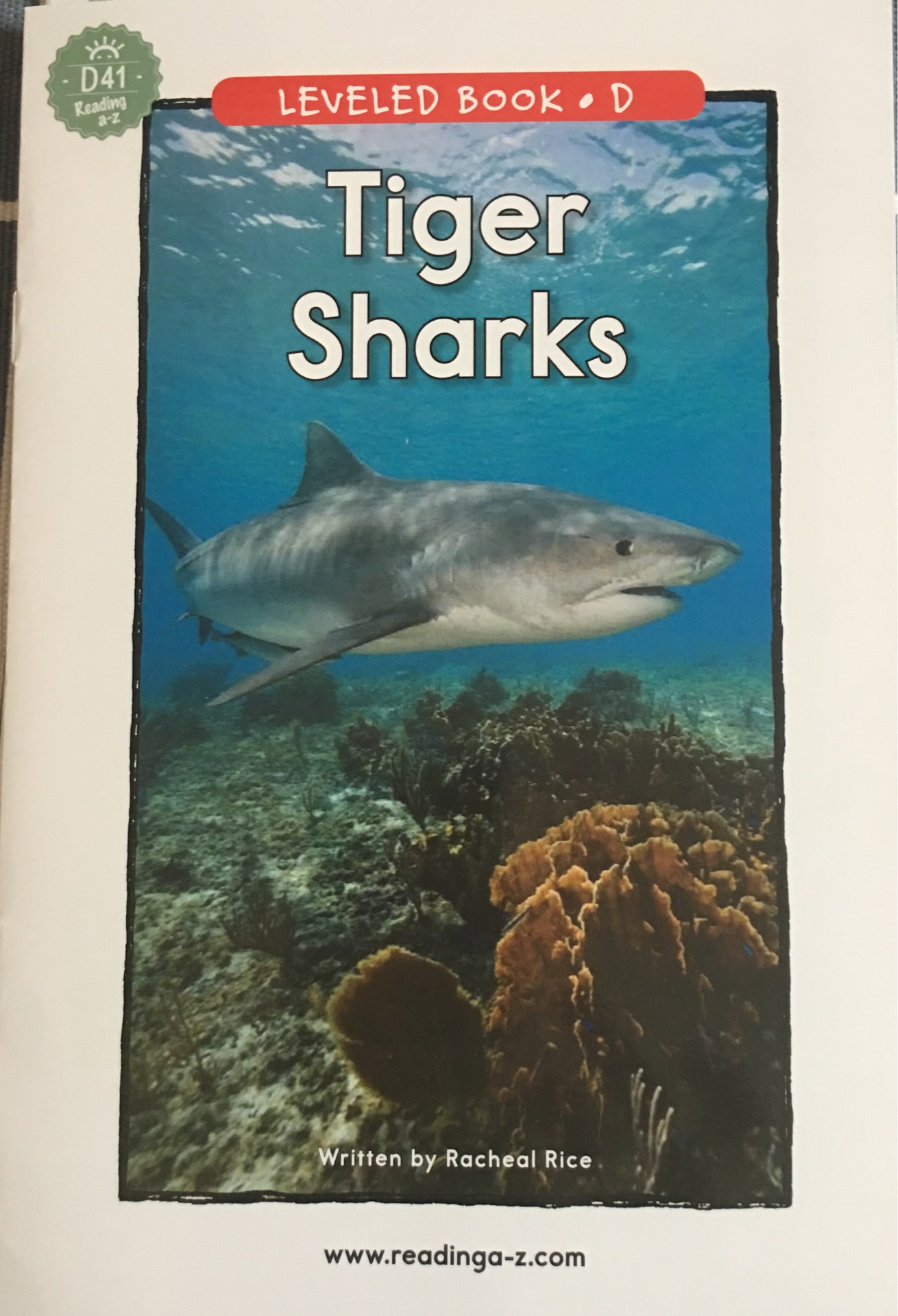 Tiger Sharks