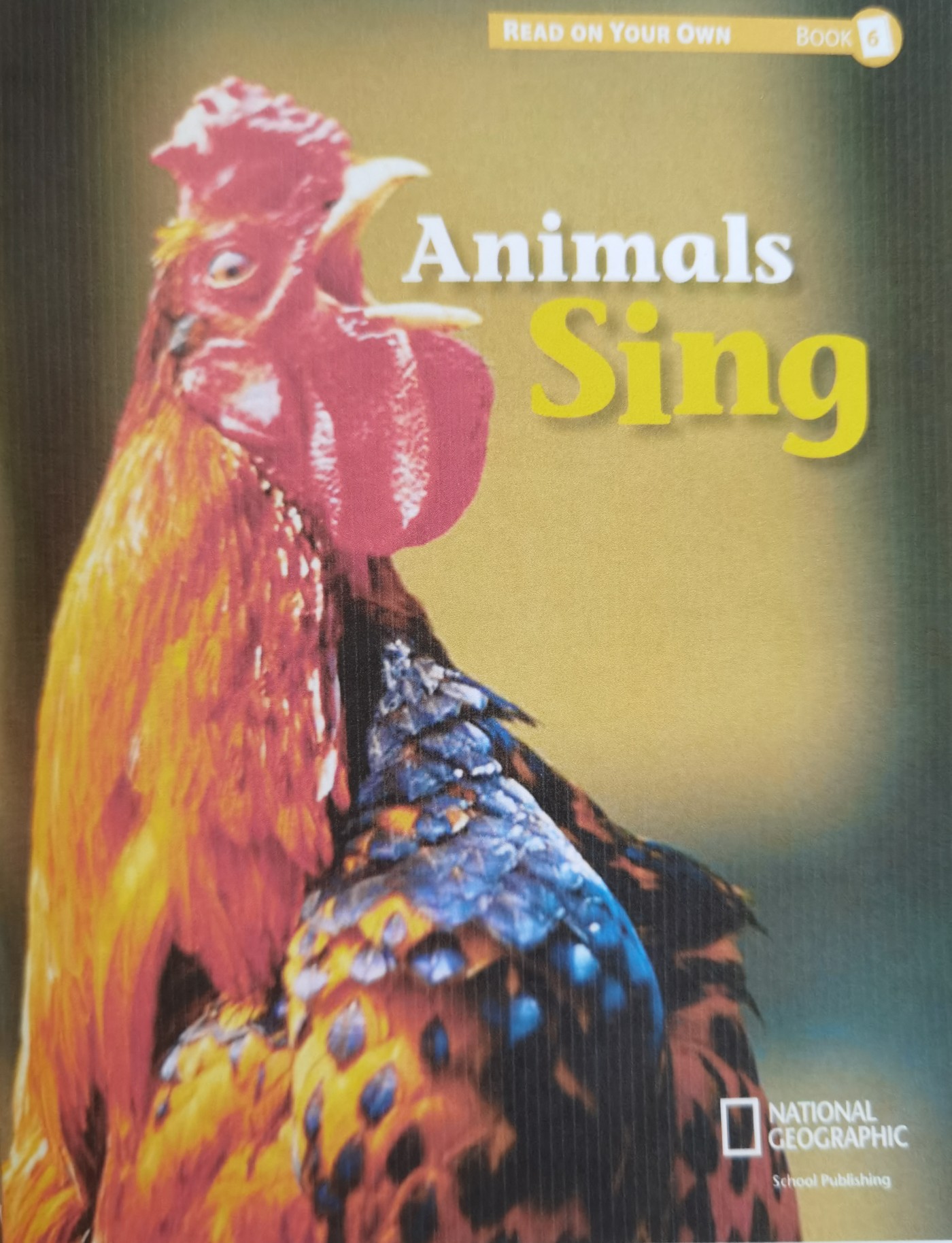 Reach into Phonics 1 (Read On Your Own Books): Animals Sing