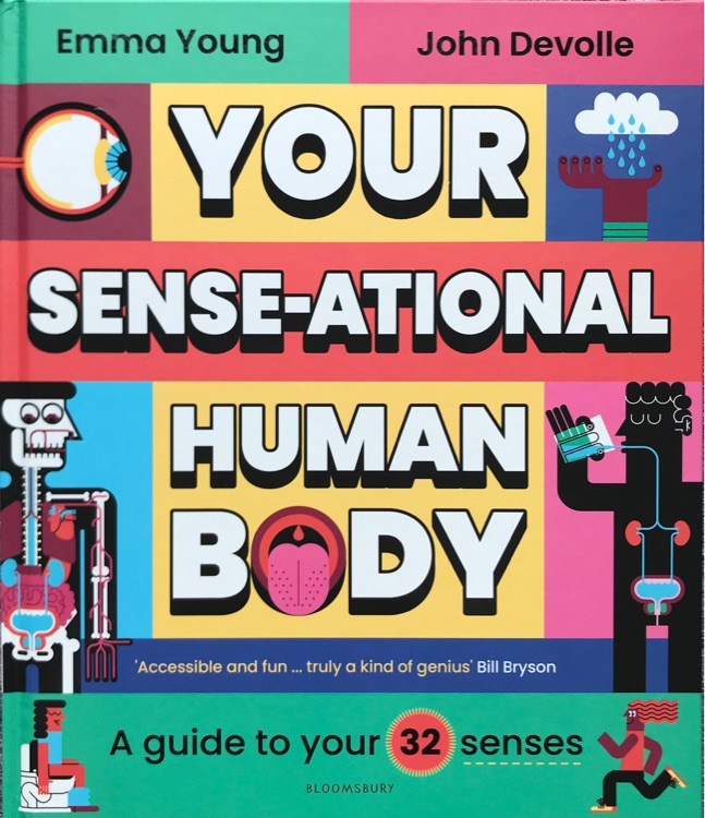 YOUR SENSE- ATIONAL HUMAN BODY