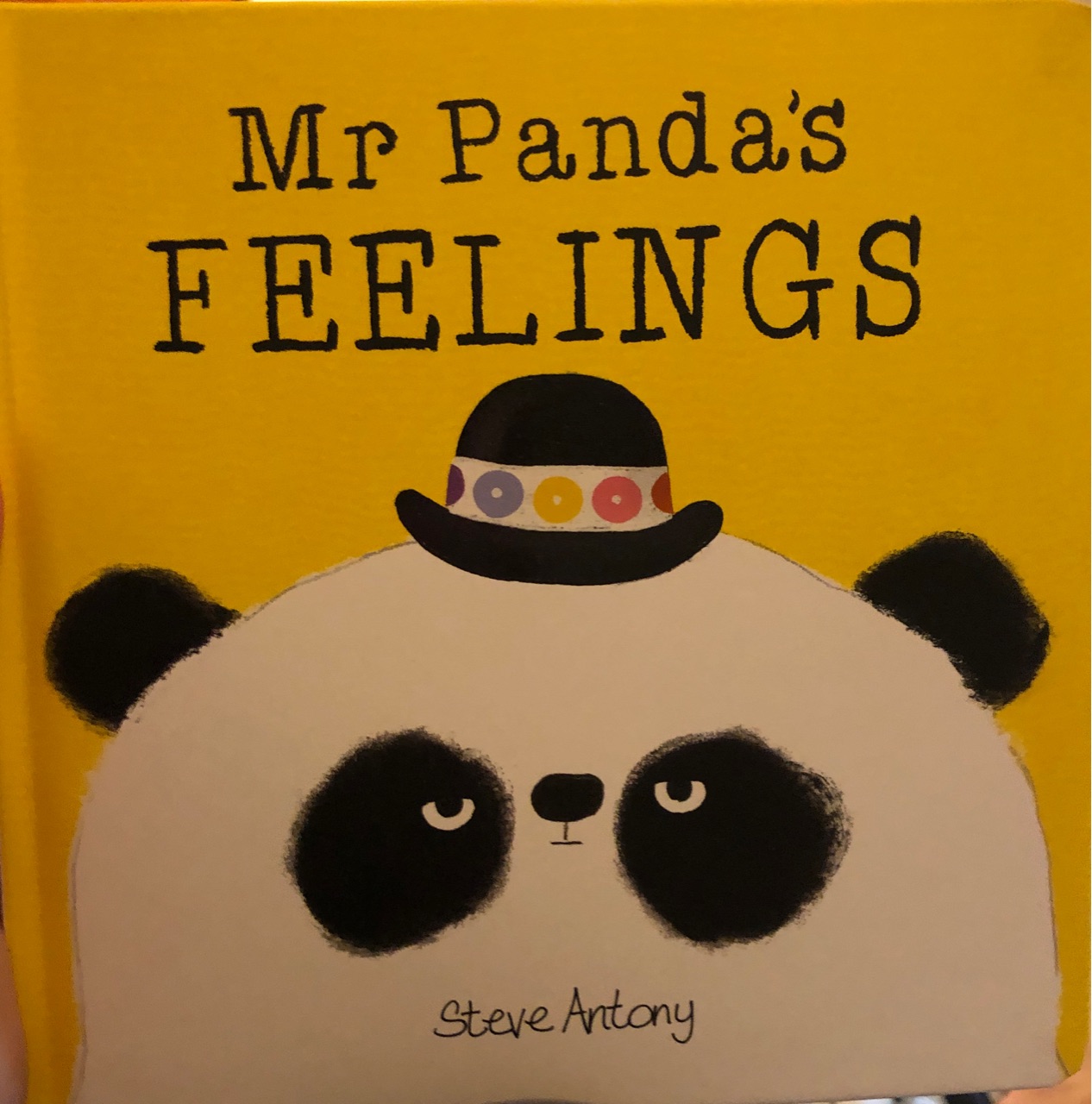 Mr. Panda's feelings