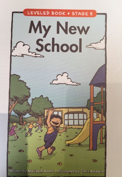 My New School