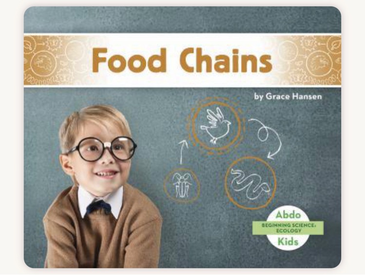 Food chains