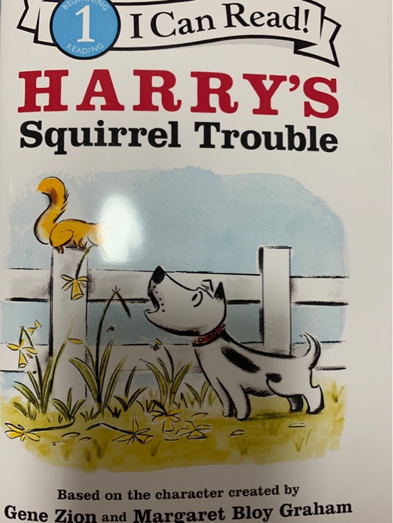 Harry's squirrel trouble