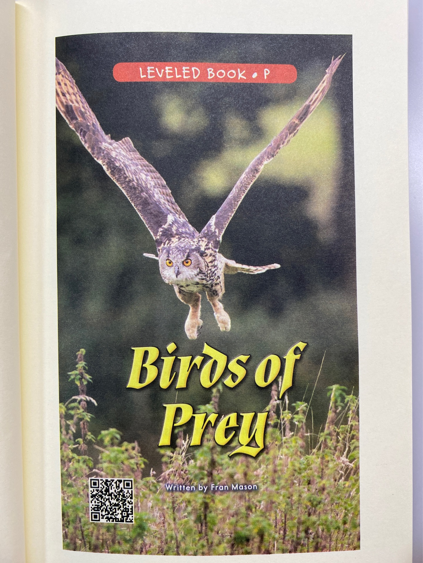 Birds of Prey