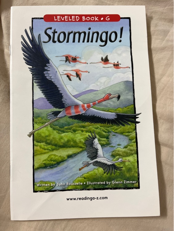 Stormingo