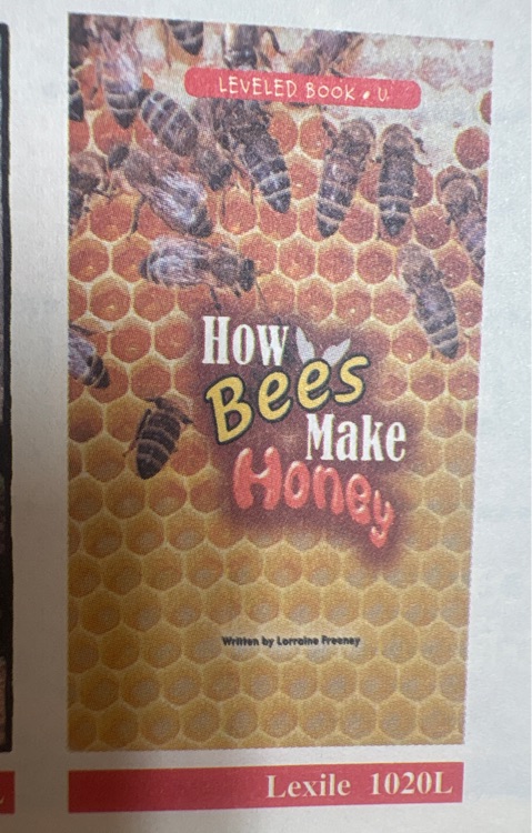 how bees make honey