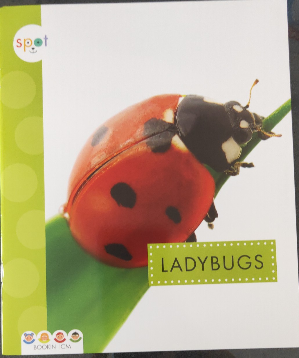 LADYBUGS