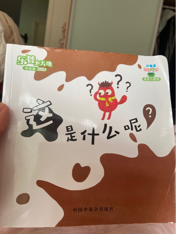 這是什么呢