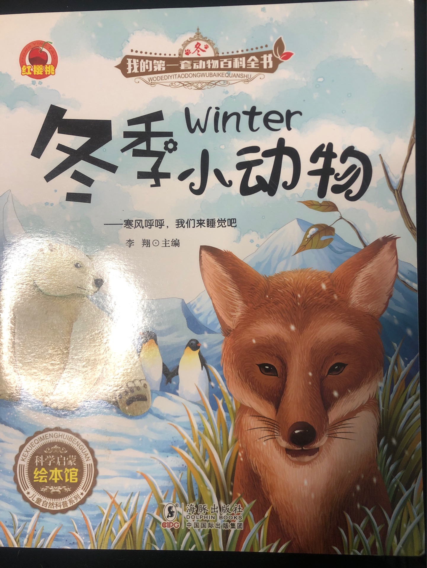 冬季小動物